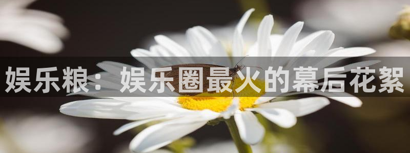恒盛娱乐app下载官网：娱乐粮：娱乐圈最火的幕后花絮