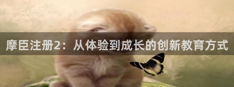 壹号app官网版下载：摩臣注册2：从体验到成长的创新教育方式
