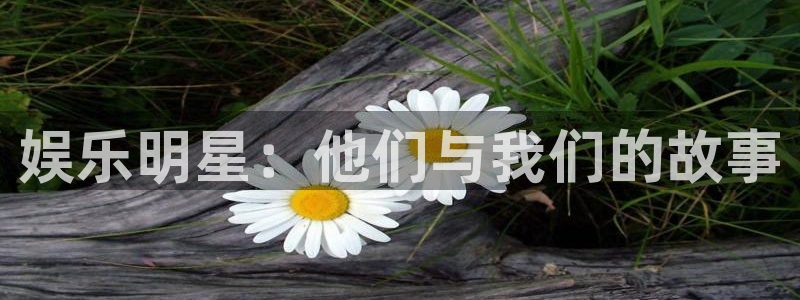 恒盛娱乐官方网站：娱乐明星：他们与我们的故事