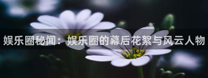 恒盛娱乐平台官方网站：娱乐圈秘闻：娱乐圈的幕后花絮与风云人物