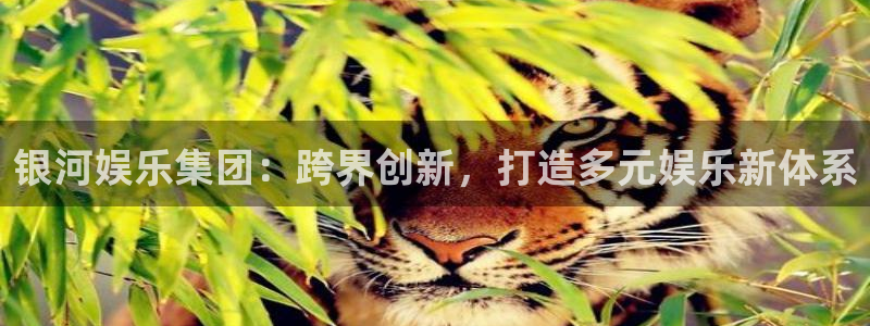 恒盛娱乐网站平台：银河娱乐集团：跨界创新，打造多元娱乐新体系