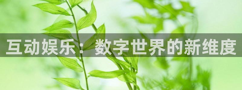 壹号大舞台下载：互动娱乐：数字世界的新维度