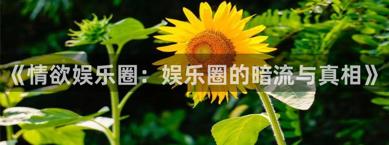 恒盛娱乐.com：《情欲娱乐圈：娱乐圈的暗流与真相》