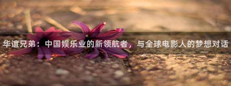 恒盛娱乐下载链接：华谊兄弟：中国娱乐业的新领航者，与全球电影人的梦想对话