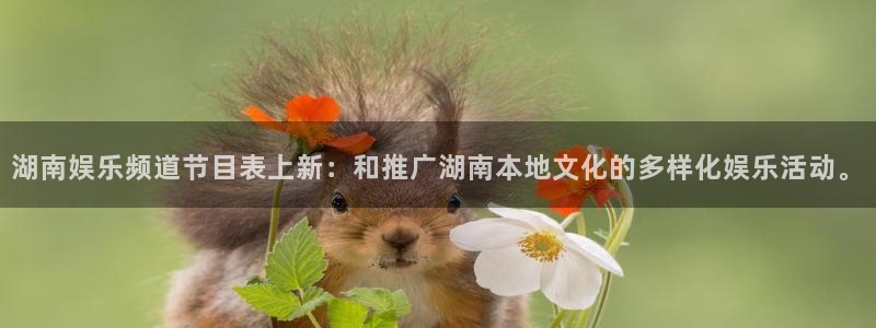 恒盛娱乐预测pc在线预测网址：湖南娱乐频道节目表上新：和推广湖南本地文化的多样化娱乐活动。