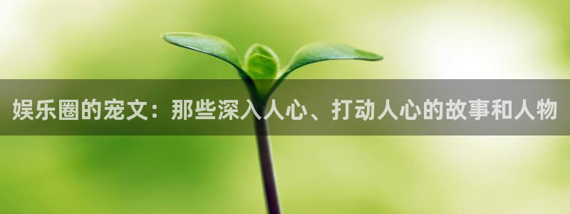 恒盛娱乐网站平台登录：娱乐圈的宠文：那些深入人心、打动人心的故事和人物