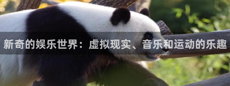 壹号电子娱乐app下载安装：新奇的娱乐世界：虚拟现实、音乐和运动的乐趣