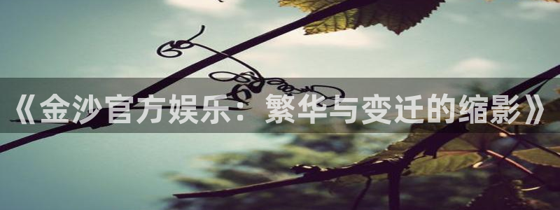 恒盛娱乐app 是什么：《金沙官方娱乐：繁华与变迁的缩影》