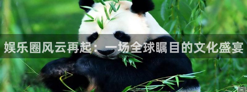 恒盛娱乐分红代理计划：娱乐圈风云再起：一场全球瞩目的文化盛宴