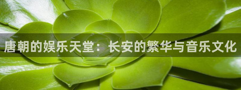 恒盛娱乐链接：唐朝的娱乐天堂：长安的繁华与音乐文化