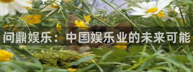 恒盛娱乐网页版登：问鼎娱乐：中国娱乐业的未来可能