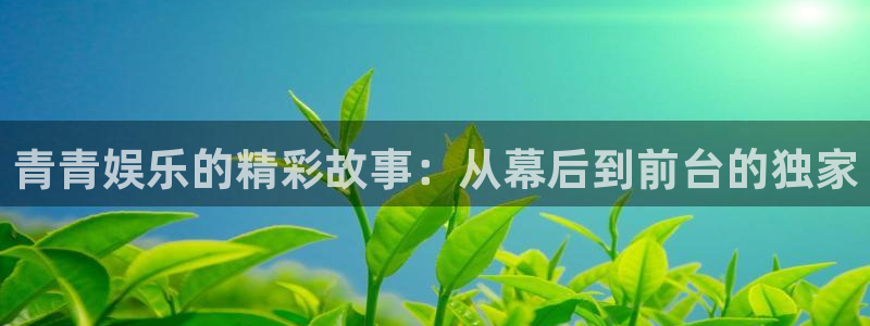 南宫恒盛娱乐官网版：青青娱乐的精彩故事：从幕后到前台的独家