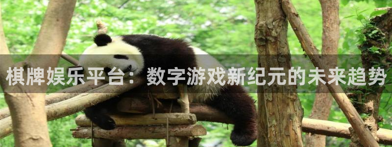 恒盛娱乐ccmpc麻将胡了：棋牌娱乐平台：数字游戏新纪元的未来趋势