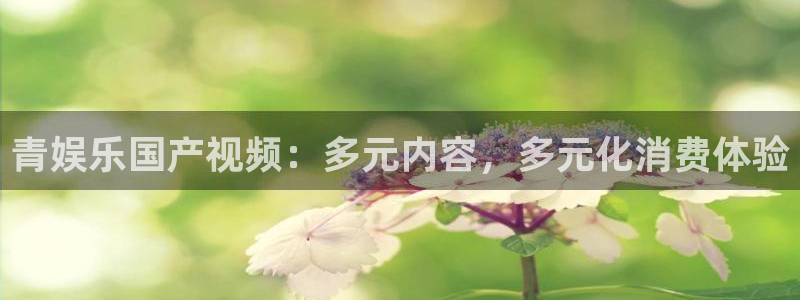 恒盛娱乐,apk：青娱乐国产视频：多元内容，多元化消费体验