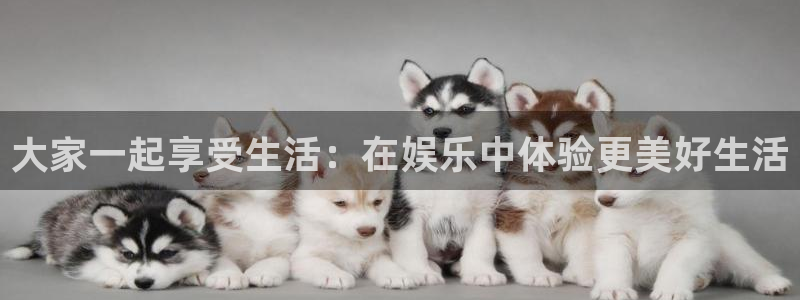 壹号app官网：大家一起享受生活：在娱乐中体验更美好生活