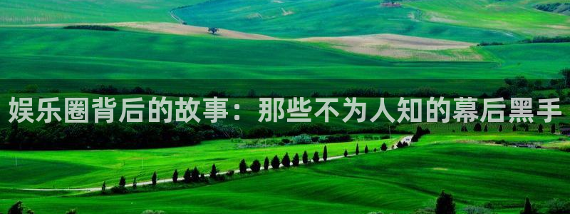 恒盛娱乐游app：娱乐圈背后的故事：那些不为人知的幕后黑手