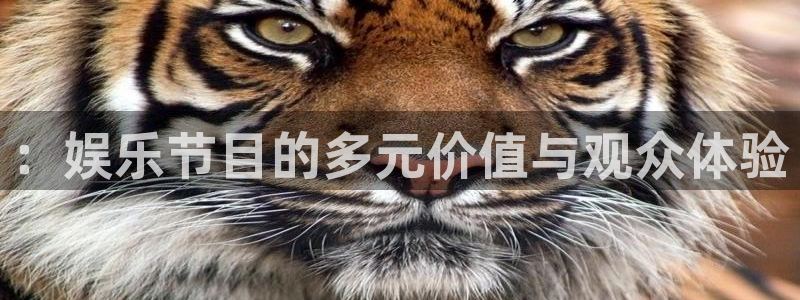 恒盛娱乐app下载：：娱乐节目的多元价值与观众体验