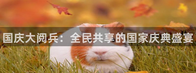恒盛娱乐网站登录流程：国庆大阅兵：全民共享的国家庆典盛宴