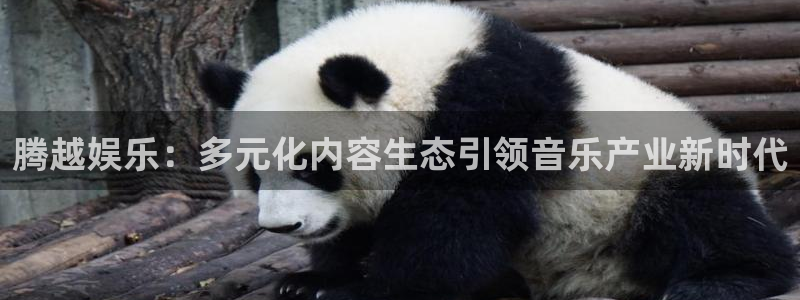 恒盛娱乐电子游戏：腾越娱乐：多元化内容生态引领音乐产业新时代