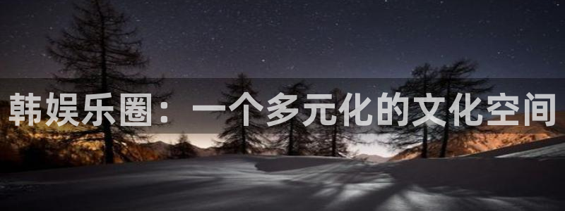 恒盛娱乐手机客户端下载安装：韩娱乐圈：一个多元化的文化空间