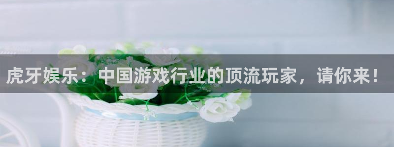 恒盛娱乐注册网站：虎牙娱乐：中国游戏行业的顶流玩家，请你来！