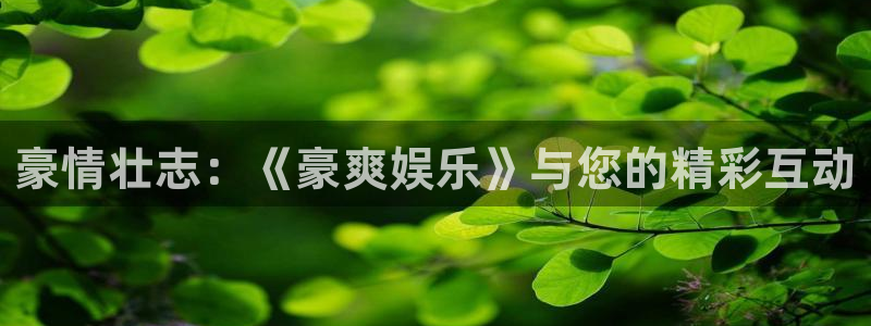 恒盛娱乐在线预测：豪情壮志：《豪爽娱乐》与您的精彩互动