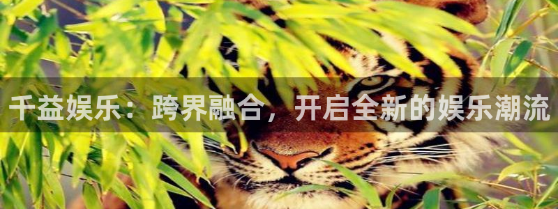 恒盛娱乐app哪个模式容易赢：千益娱乐：跨界融合，开启全新的娱乐潮流