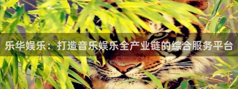 恒盛娱乐app：乐华娱乐：打造音乐娱乐全产业链的综合服务平台