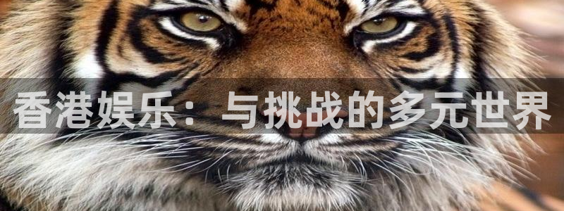 恒盛娱乐加拿大官网：香港娱乐：与挑战的多元世界
