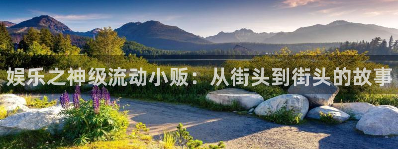 壹号电子娱乐app下载官网：娱乐之神级流动小贩：从街头到街头的故事